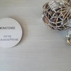 Luxe Met Adembenemend Uitzicht Op Zee , Oostende België